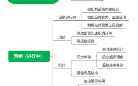 独立站运营31——抛出利益点刺激成交，成交后私域化促二次成交