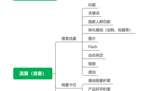 独立站运营32——营销布局之流量运营