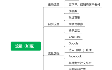 独立站运营35——流量加强操作