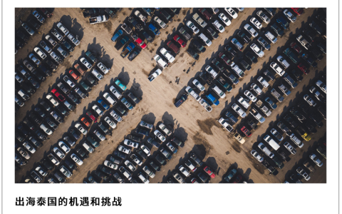 中国新能源车出海泰国，打不过“老头乐”