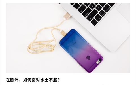 我在欧洲做共享充电宝，一小时收费25元