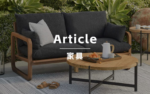 Article