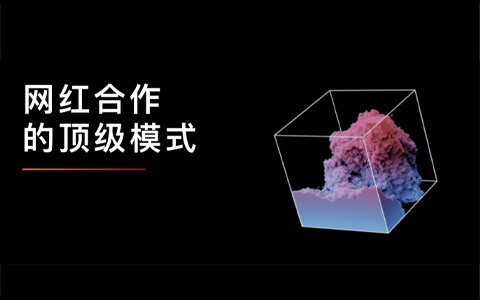 网红合作的顶级模式：梯度合作策略