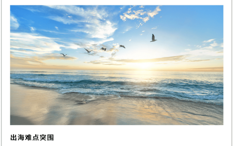 社交泛娱乐出海，拿下“最后一公里”有多难？