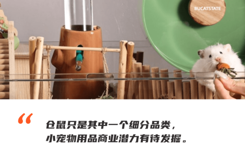 别总盯着猫猫狗狗，小宠物用品出海也是门大生意