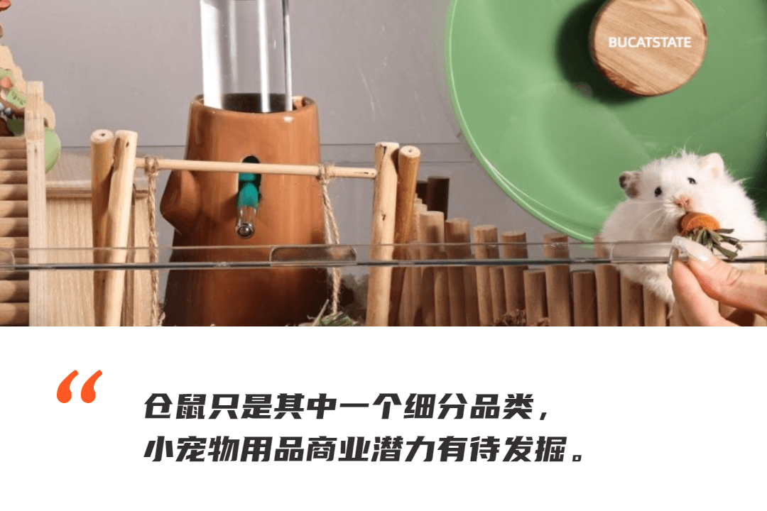 别总盯着猫猫狗狗，小宠物用品出海也是门大生意
