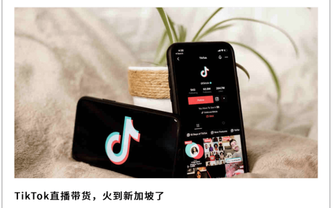 新加坡，被忽视的电商热土