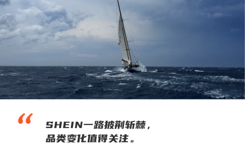 谁是品牌全球化高手？谷歌联合凯度发布2023BrandZ中国全球化品牌50强榜单