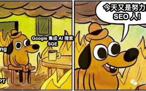 用抖音亚马逊做黑产关键词排名?｜搜索页SEO安全指南