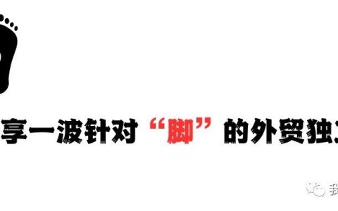 分享一波针对“脚”的外贸独立站