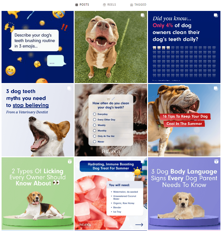 以PetLab Co.为例,探究宠物DTC品牌如何通过品牌思维赢得同品类最佳?