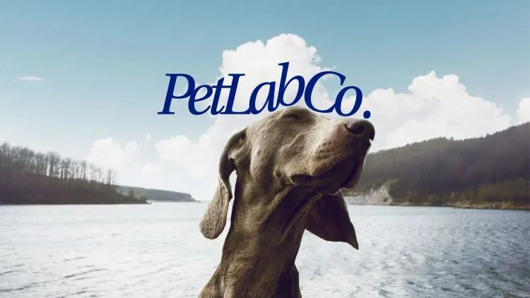 以PetLab Co.为例,探究宠物DTC品牌如何通过品牌思维赢得同品类最佳?