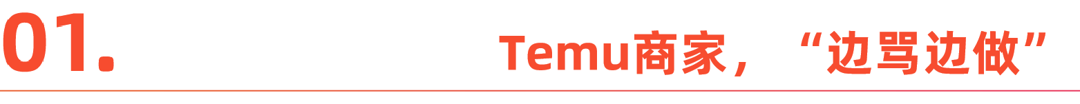激进的Temu,正经历阵痛