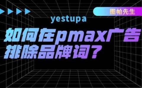 如何在谷歌pmax广告单独排除品牌词？