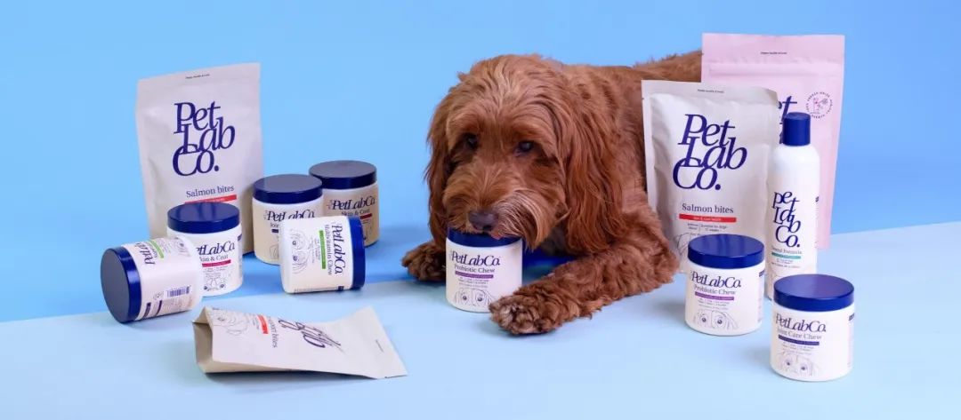 以PetLab Co.为例,探究宠物DTC品牌如何通过品牌思维赢得同品类最佳?