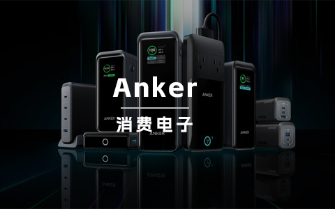 海外收入破百亿，但这家公司在国内却默默无名