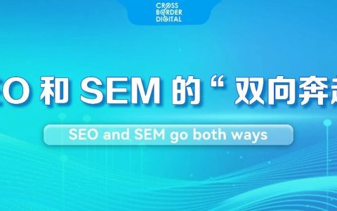 降本增效，需要SEO+SEM的双向奔赴