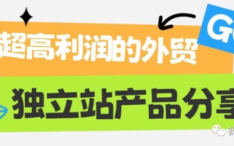 超高利润的外贸独立站产品分享