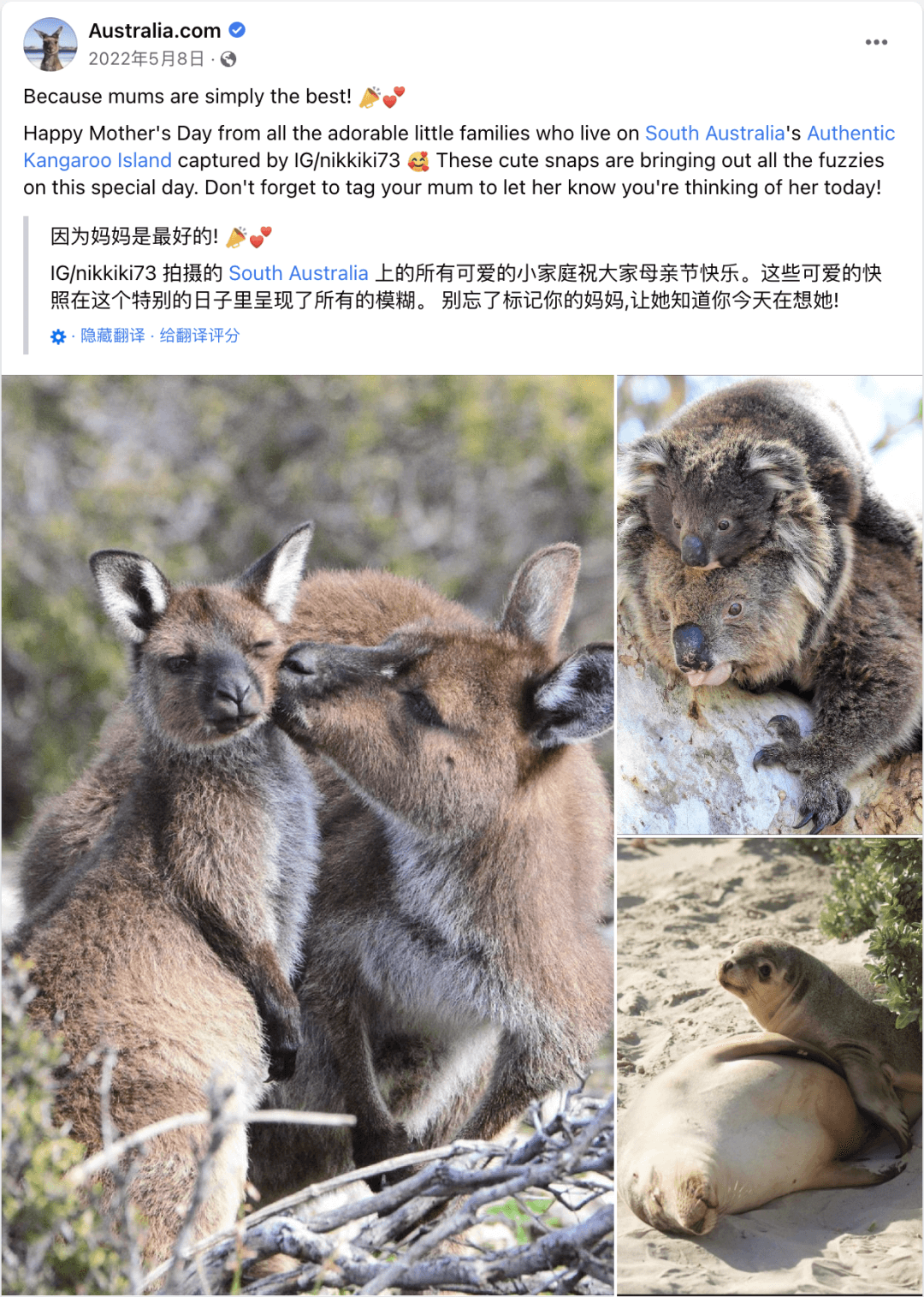 如何解决海外社媒粉丝流失?用这7个方法增加用户粘性