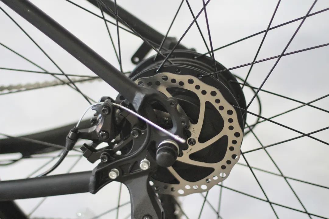 E-bike出海,大疆都看好的新能源产业