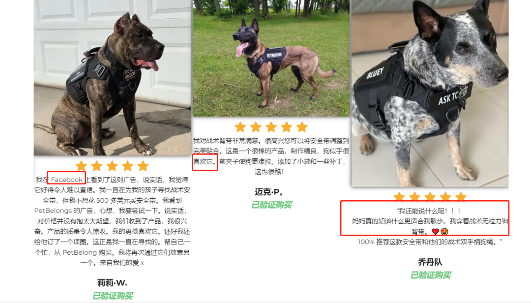全网首发,9千字深度 | 两个案例搞懂独立站竞争对手分析