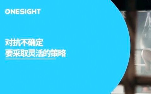 对抗不确定：出海社媒营销如何在波动中立足