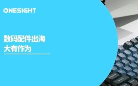 深挖极致个性化：Keychron诠释数码配件出海的“虽冷但精”