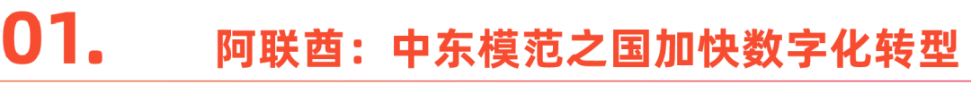 直击中东百年巨变：经济革新与中国机遇