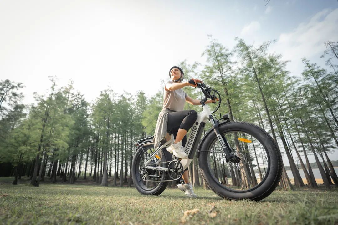 油价仍成为澳大利亚 ebike 市场增长的重要因素