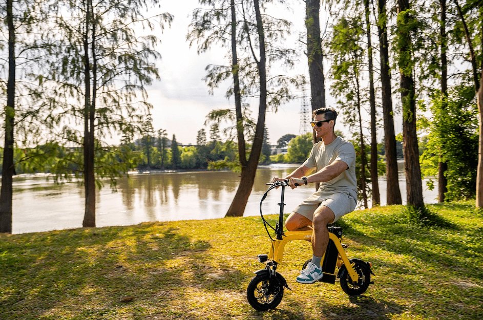 油价仍成为澳大利亚 ebike 市场增长的重要因素