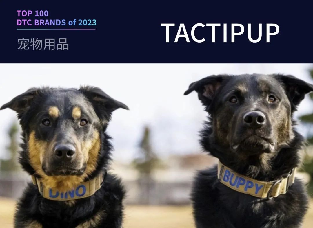 100个值得关注的海外DTC品牌|2023年DTC商学院年度榜单