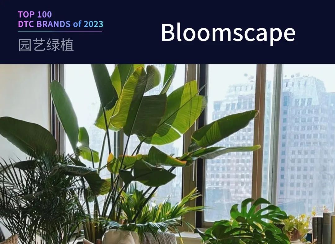 100个值得关注的海外DTC品牌|2023年DTC商学院年度榜单