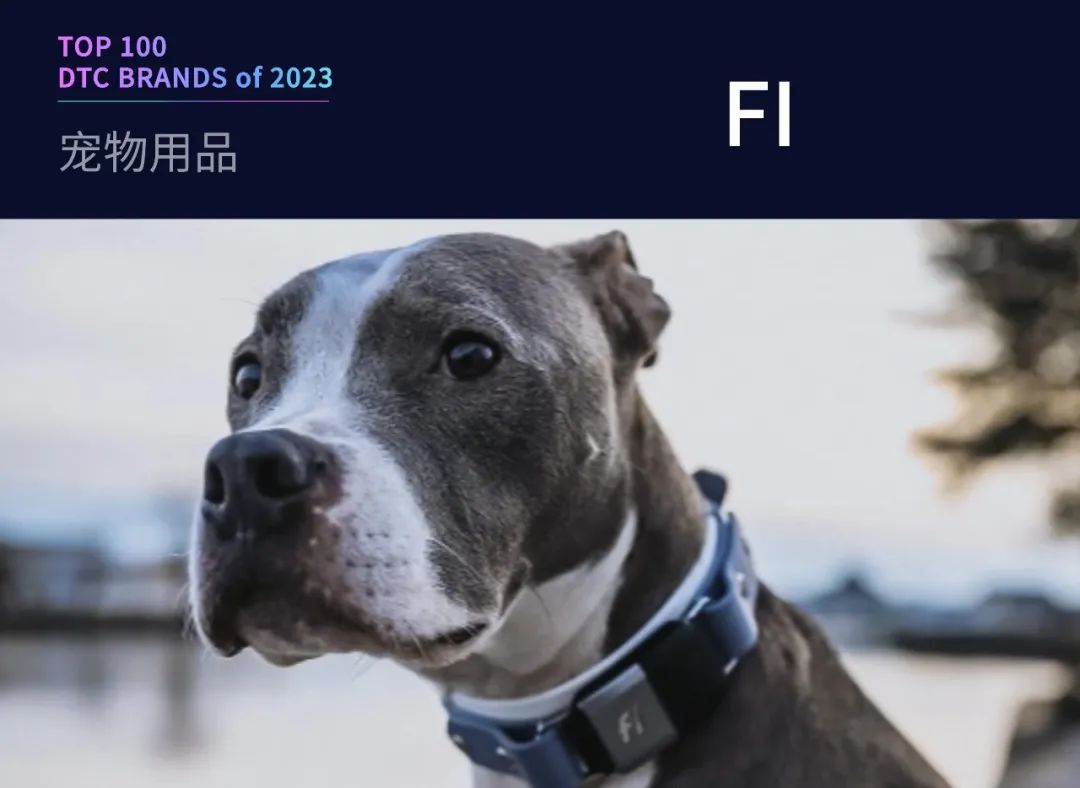 100个值得关注的海外DTC品牌|2023年DTC商学院年度榜单