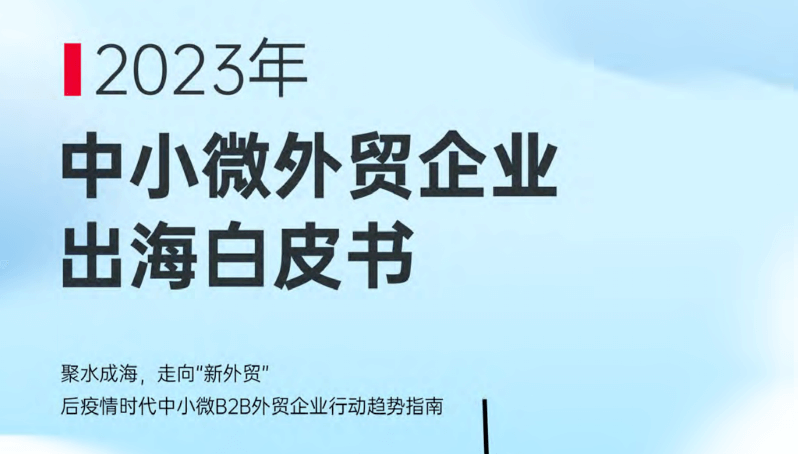 年中小微企业出海白皮书
