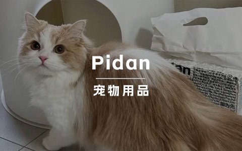 国内顶流猫砂出海，年销数亿的品牌建设竟能如此拉胯？