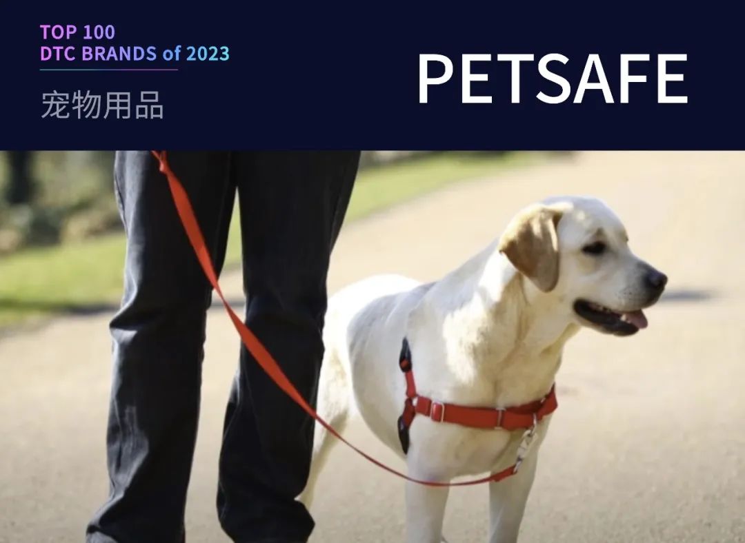 100个值得关注的海外DTC品牌|2023年DTC商学院年度榜单