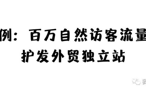 案例：百万自然访客流量的护发外贸独立站