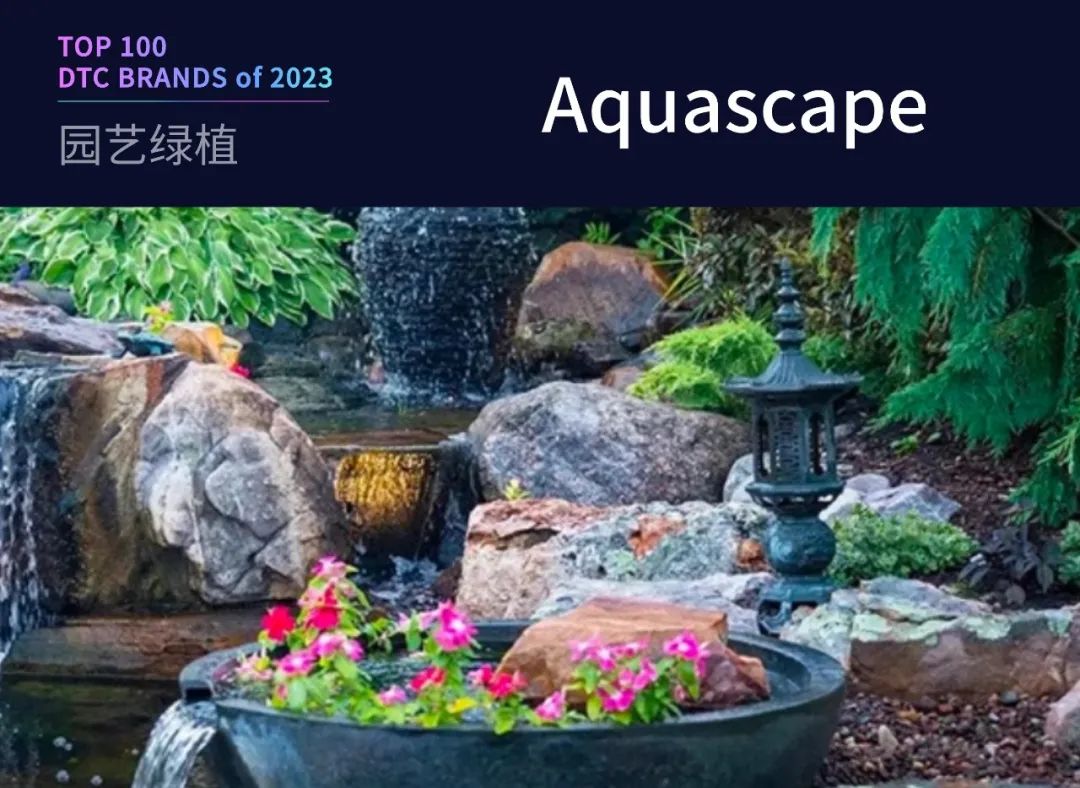 100个值得关注的海外DTC品牌|2023年DTC商学院年度榜单