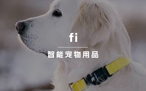 一款GPS狗项圈，估值超2亿美金