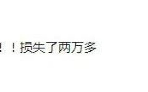 做广告投放的时候给公司造成损失怎么办？
