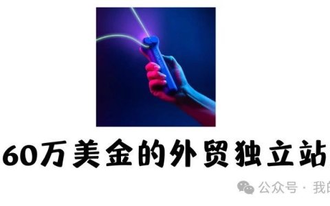 分享月销60万美金的网红外贸独立站案例