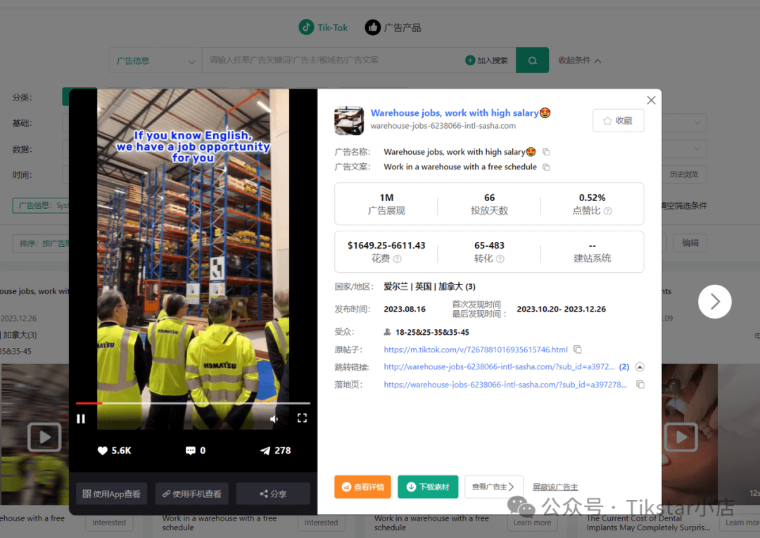 TikTok Ads 特殊玩法:域名停放广告套利赚差价
