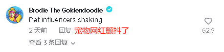 爆火的Sora,究竟能不能为TikTok卖家所用?
