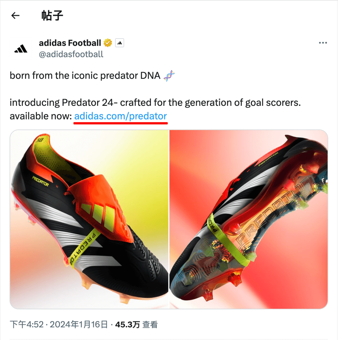 如何让海外社媒上的流量“富矿”成为品牌的私有化客户资产?
