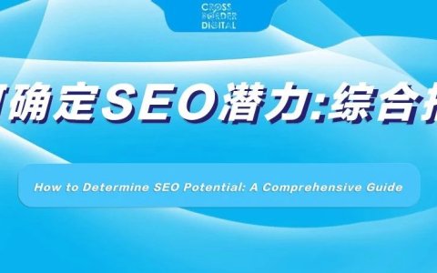 如何确定SEO潜力：综合指南