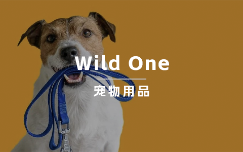 3年后年营收超千万美金，这个宠物独立站只做高端货