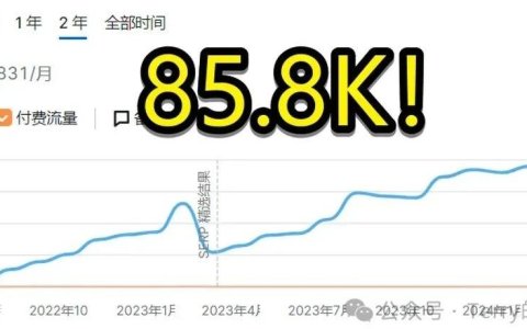 这是谁的部将，如此生猛！B端网站SEO流量做到85.8K