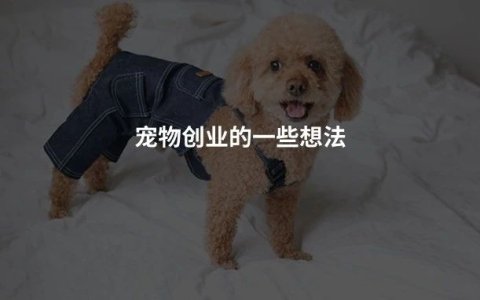 创业开宠物店赚钱吗，如何开展宠物业务？这份指南建议收藏