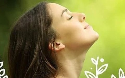 总销售额高达千万美元，亚马逊卖家发力TikTok美区，一跃成为“爆单王”