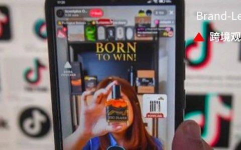 TikTok红利正当时！跨境卖家们要全盘投入吗？